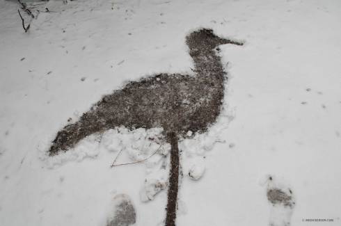 Snow2-Bird